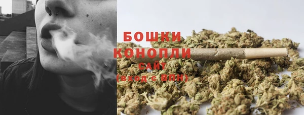 экстази Каменка