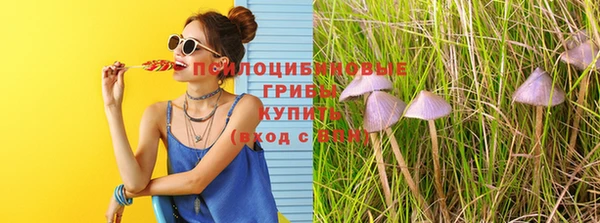 скорость mdpv Каменногорск