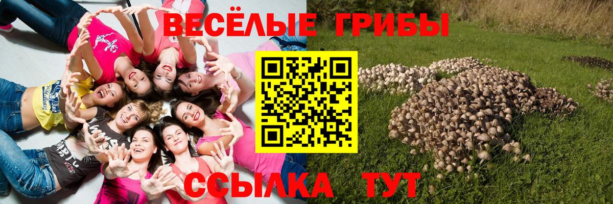 Галлюциногенные грибы Psilocybine cubensis  Псилоцибиновые грибы мицелий  Симферополь  Вход с VPN 